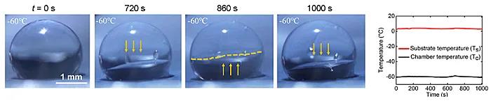 香港科技大学团队开发出低至-60℃环境防冰的超疏水选择性光热表面3.jpg